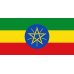 画像2: エチオピア イルガチャフィー　ベレカ G1 ウォッシュド (2)